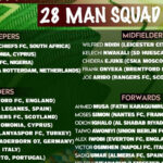 Nigeria’s 28-man squad list for Afcon 2021 tournament