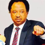They don’t want to be criticised and cursed for same failure – Senator Shehu Sani
