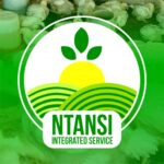 #BreakTheBias: NTANSI Farms, your number one farm merchant that deals with yam, irish and livestock both in wholesale and retail.