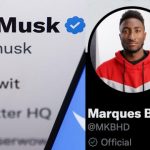 Twitter will do lots of dumb things in coming months – Elon Musk says as he scraps Twitter ‘Official’ verified labels just hours after launch