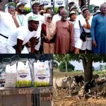 Niger State Corps Members Receive Bago’s 600 Bags of rice, Cows, N200k Each