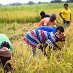 Nigeria has second highest rate of food insecurity in the world, Bill Gates says